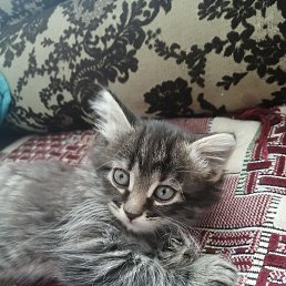 �������, �������, 30 ���