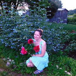 �����, �����-���������, 42 ����