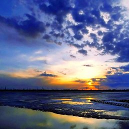 �����, ����������, 50 ���