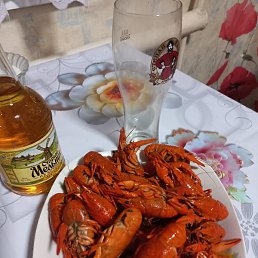 �������, ������, 46 ���