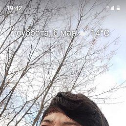 ������, �����-���������, 37 ���