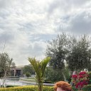 ���� �������, �����������, 56 ��� - ��������� 17 ������ 2023 � ������ ���� ����������