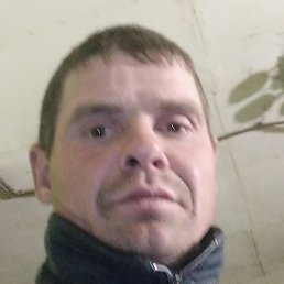 ���������, ������, 35 ���