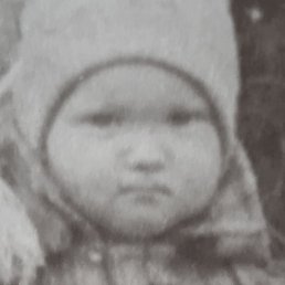 �������, �����-���������, 41 ���