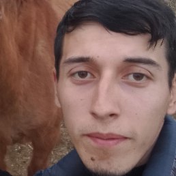 Feruz, �����������, 31 ���