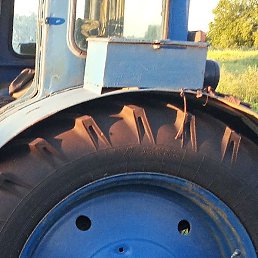 ������, ������, 54 ����