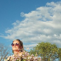 ���� ����, �������, 53 ���� - ��������� 22 ������ 2023