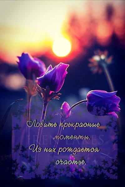  ,!)
