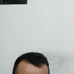 Elkin, ����, 46 ���