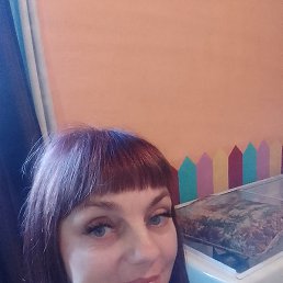 �������, �����������, 48 ���