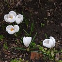  , , 66  -  23  2023    2023