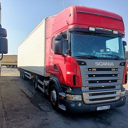 ����, ��������, 43 ����