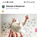 ���� Amigo, ������, 64 ���� - ��������� 3 ������� 2023