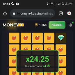 �����, ������, 24 ����