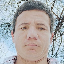 Sanjarbek, �������, 28 ���