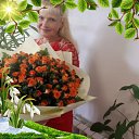 ���� �����, ���������, 61 ��� - ��������� 22 ������ 2023