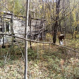 ���� ���������, ����������, 70 ��� - ��������� 19 ���� 2023