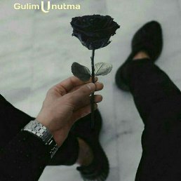 Beruniy, ������, 34 ����