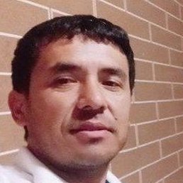 �����, �����-���������, 40 ���