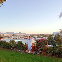 �����, �����, 46 ���