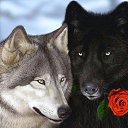 ���� Asadbeksattorova, �����, 24 ���� - ��������� 23 ���� 2023 � ������ ���� ����������