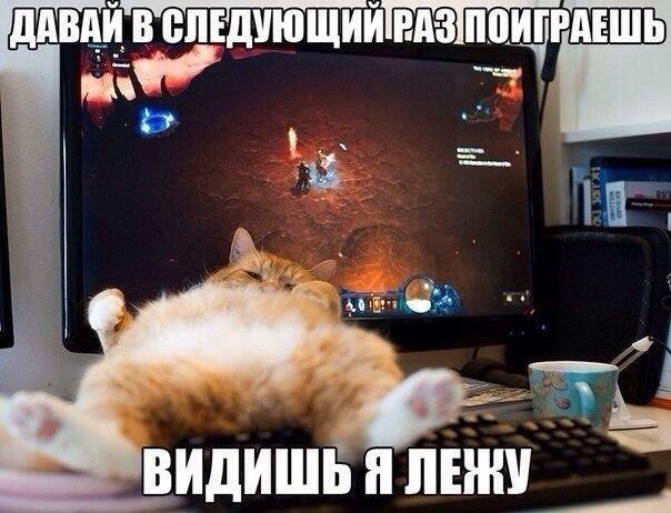   - 9  2023  17:03