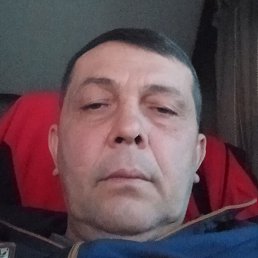 �����, ������, 49 ���