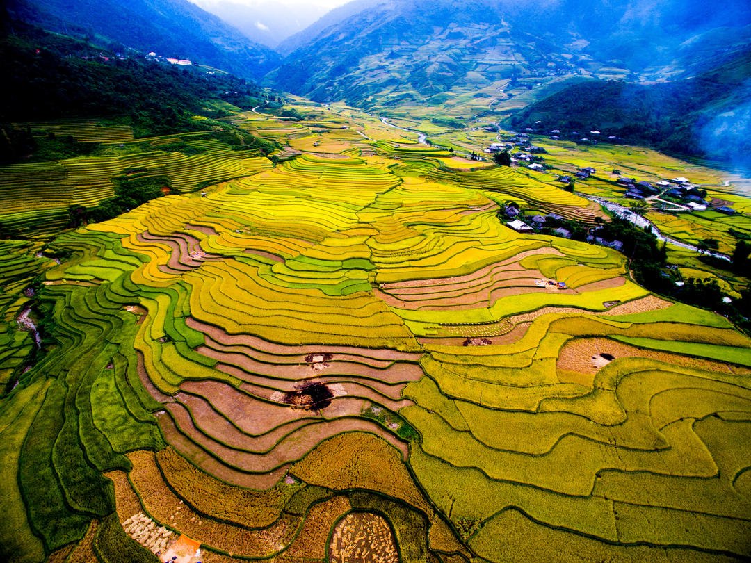      (Mu Cang Chai). ,       ...