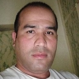 �����, �������, 37 ���