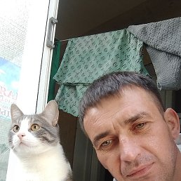 ����, ������, 38 ���