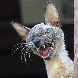 ���� ��������, ������� ��������, 63 ���� - ��������� 27 ������� 2023