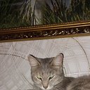 ���� Tatiana, �������, 72 ���� - ��������� 5 �������� 2023 � ������ ���� ����������