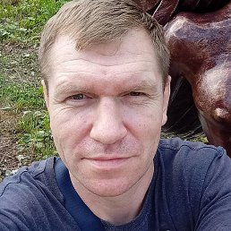 �������, ������, 46 ���