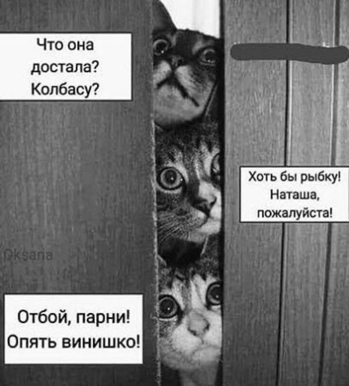   - 29  2023  20:07