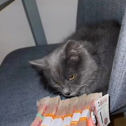 ���� �����, ���, 21 ��� - ��������� 6 ���� 2023