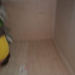 ��������, ���������, 48 ���