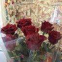 ���� ������, �����, 53 ���� - ��������� 23 ������� 2023 � ������ ���� ����������