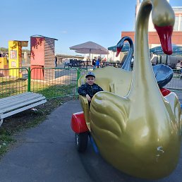 ����, ������, 38 ���