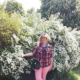 ������, ���������, 52 ����