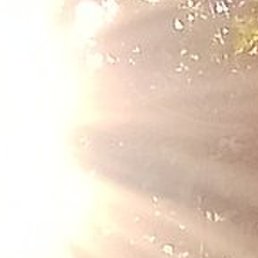 , , 27 