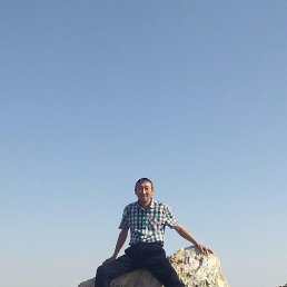 �����, �������, 39 ���