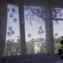 ���� ������, ������, 50 ��� - ��������� 29 ��� 2023 � ������ ���� ����������