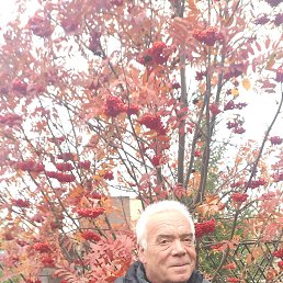 ���� ����������, �����������, 63 ���� - ��������� 18 ����� 2023