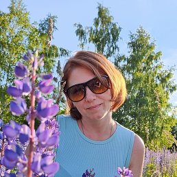 ���������, ������, 43 ����