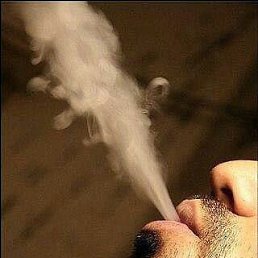 ���� ����, ���������, 36 ��� - ��������� 3 �������� 2023