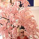 ���� �������, ���������, 64 ���� - ��������� 13 ������� 2023 � ������ ���� ����������