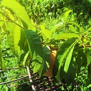 ���� Ded, ������, 59 ��� - ��������� 18 ������� 2023 � ������ ���� ����������