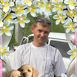 ����, ��������, 50 ���