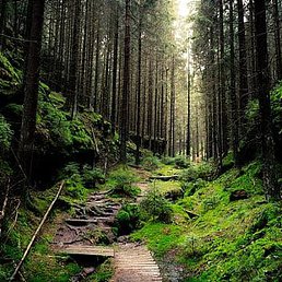 Princess, ��������, 25 ���