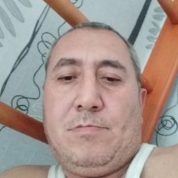 ���������, ������, 55 ���